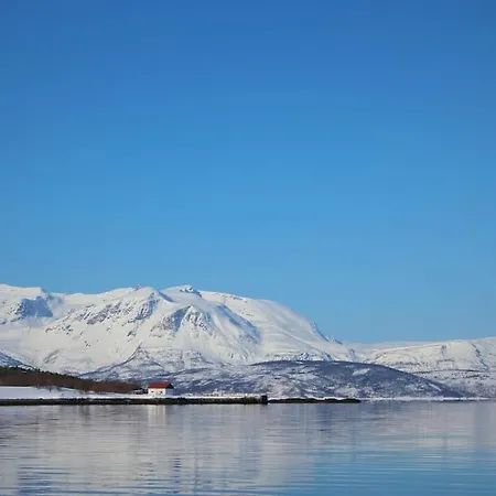 Malangen Arctic Sealodge Cabin 10 Mestervik Exterior photo