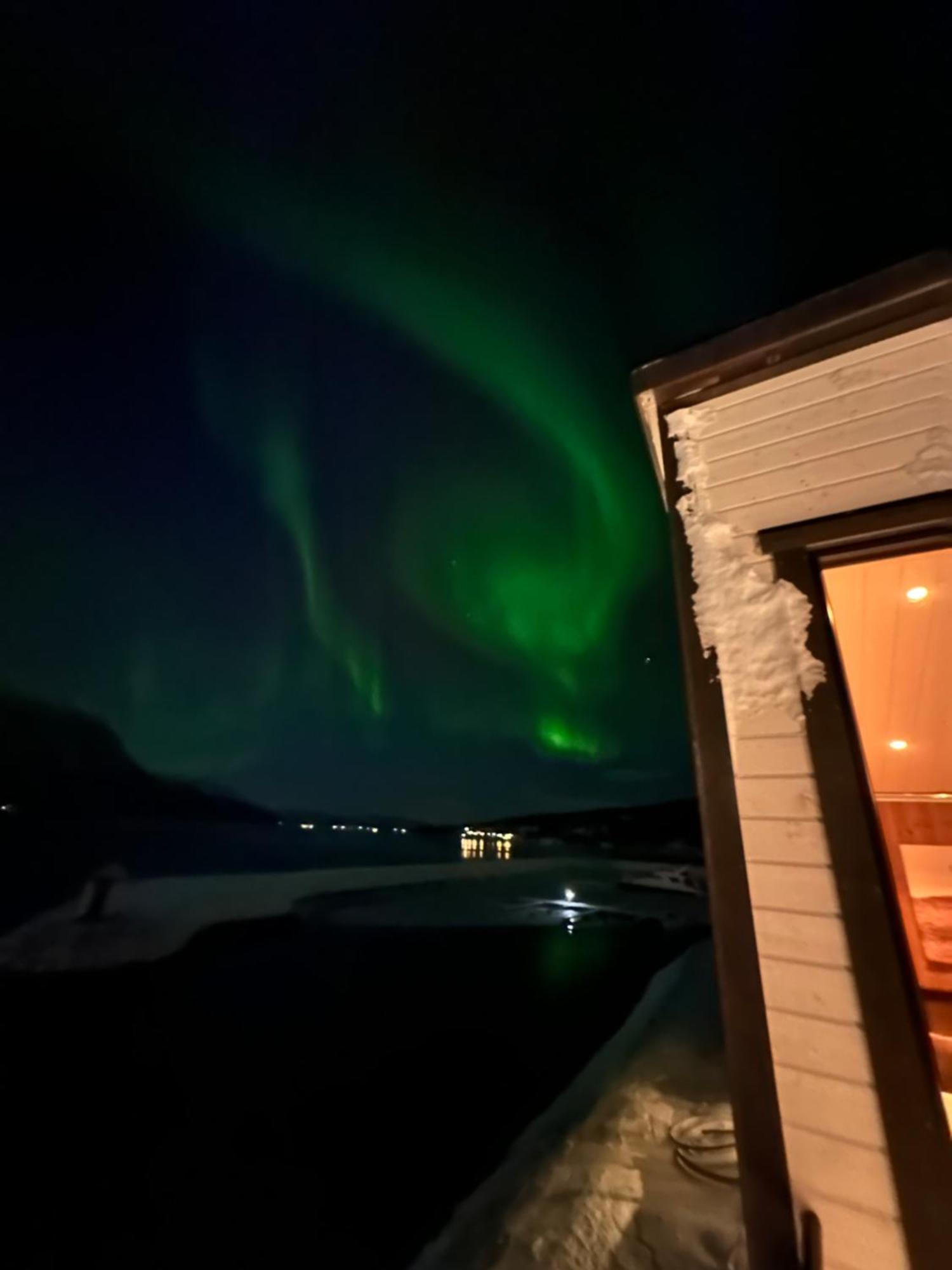 Malangen Arctic Sealodge 10 * Mestervik