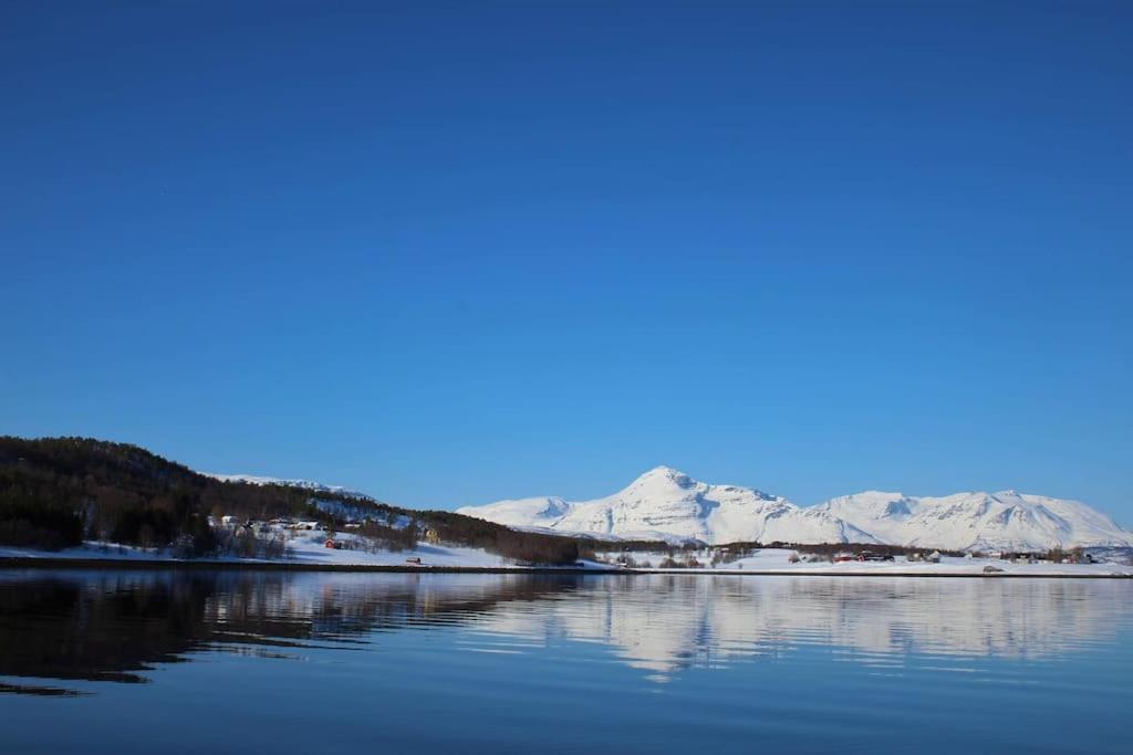 Malangen Arctic Sealodge 10 Holiday home *
