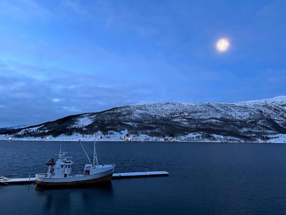 Malangen Arctic Sealodge 10 Holiday home Mestervik