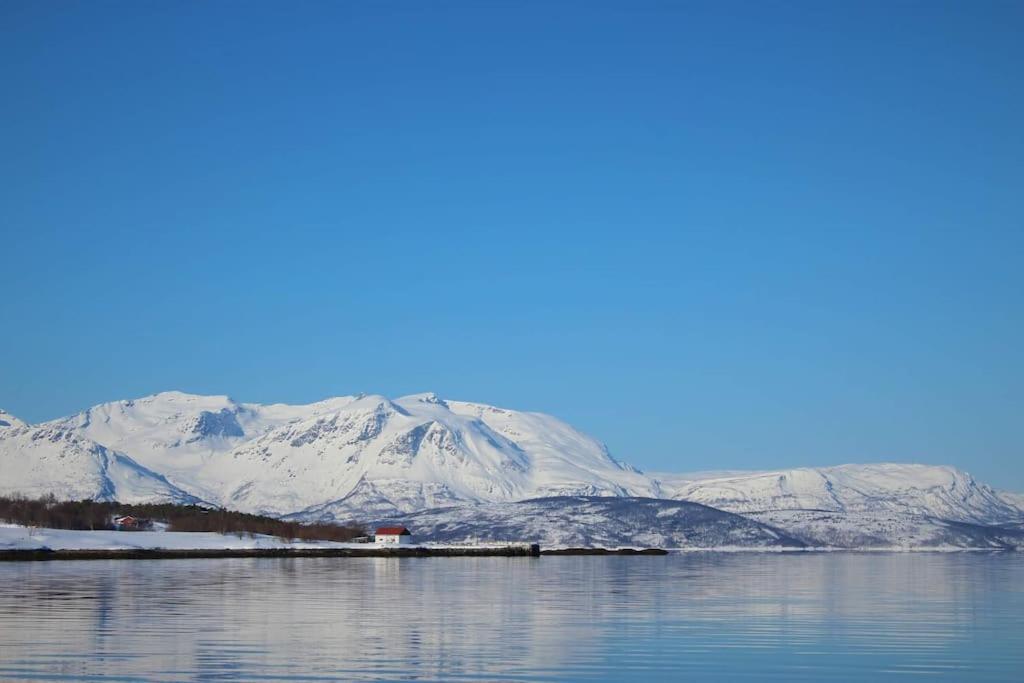 Malangen Arctic Sealodge 10 * Mestervik